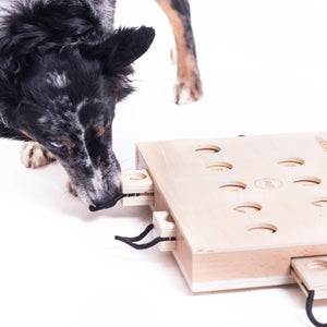 IPet - Smart Dog Toy