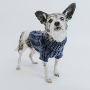 Dog Cable Knit Sweater - Navy