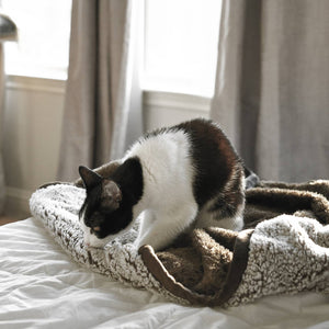 Pawtect® Blankets, Waterproof Pet Blankets