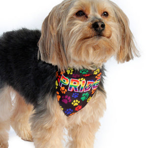 🌈🐾 HIP DOGGIE PRIDE Dog Bandana
