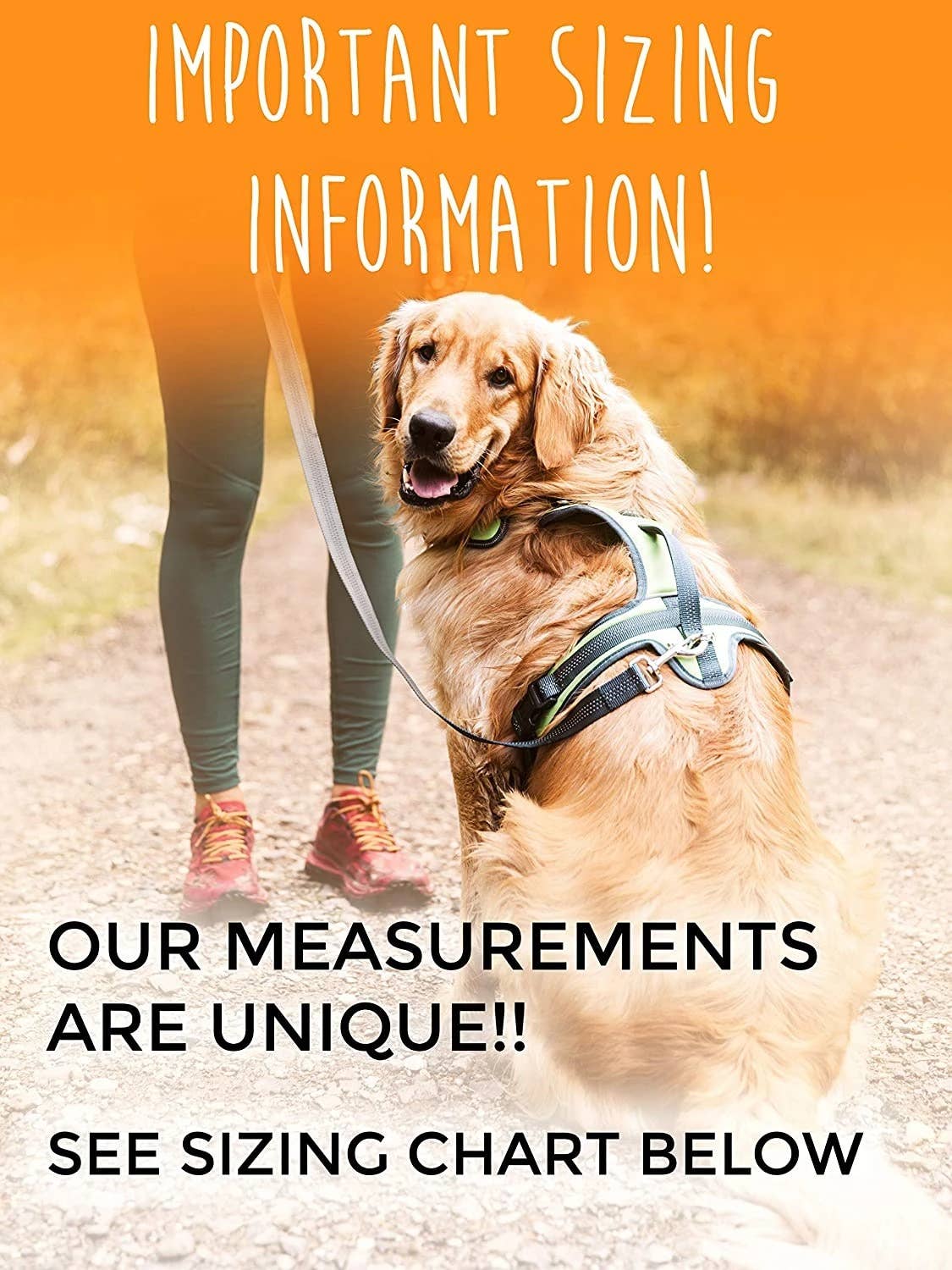 Mighty Paw Padded Adjustable Dog Harness 🐶🐾