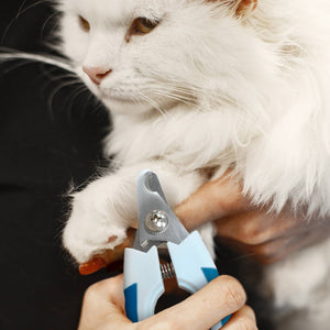 Ocean Plastic by PT Eco-Friendly Pet Nail Clipper for Pets