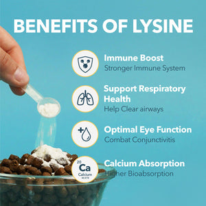 L-Lysine Supplement for Cats