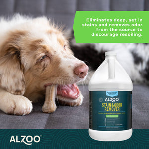 Enzymatic Stain & Odor Remover Apple Blossom