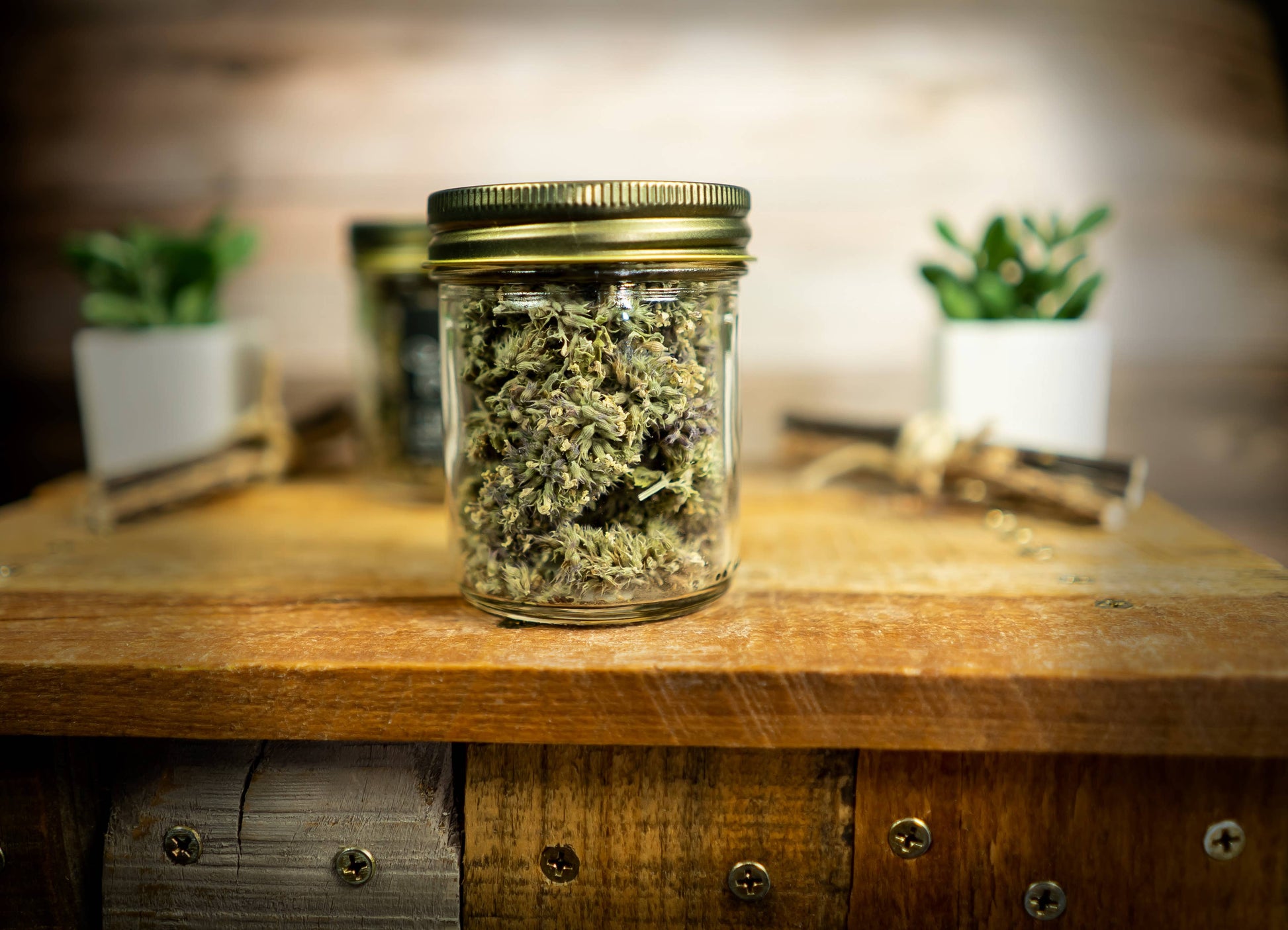 Christmas Gift for Pet | SUBLIME BUDS | Whole Catnip Flowers