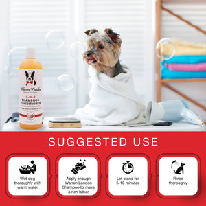 Shampoo: 2 in 1 plus Conditioner