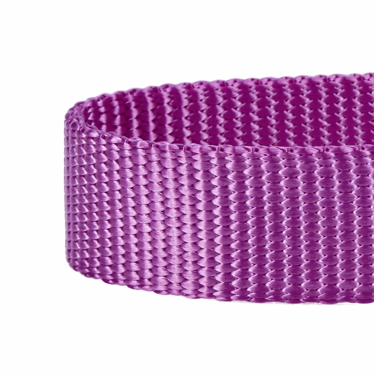 🐾🔒Classic Martingale Dog Collar