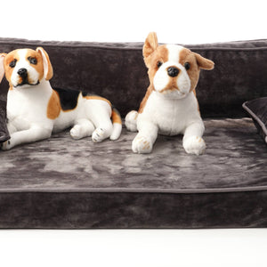 Modern Sofa Dog Bed