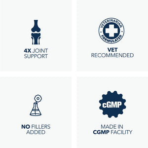 Hip & Joint Mobility Powder for Dogs