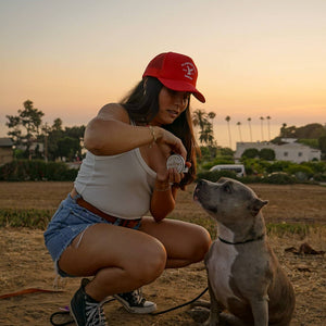 🐾 Puppy Pouches- BEEF HEART & SHROOMS