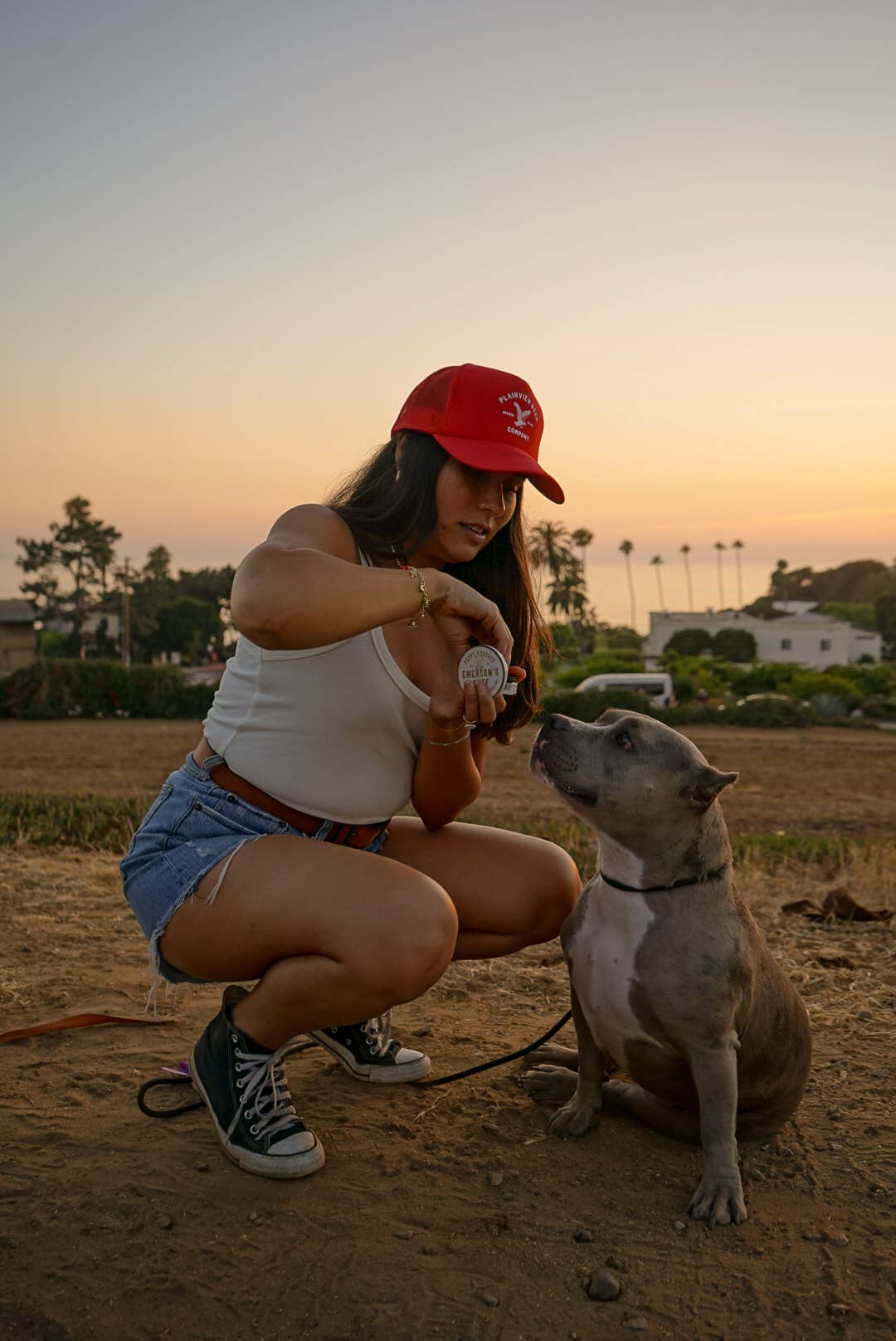 🐾 Puppy Pouches- BEEF HEART & SHROOMS