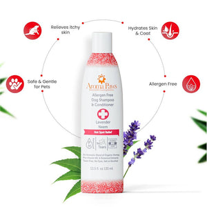 Shampoo Allergen Free Hot Spot