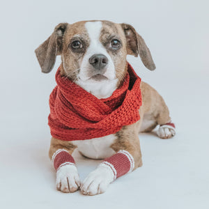 Dog Bundle Infinity Scarf & Leg Warmers