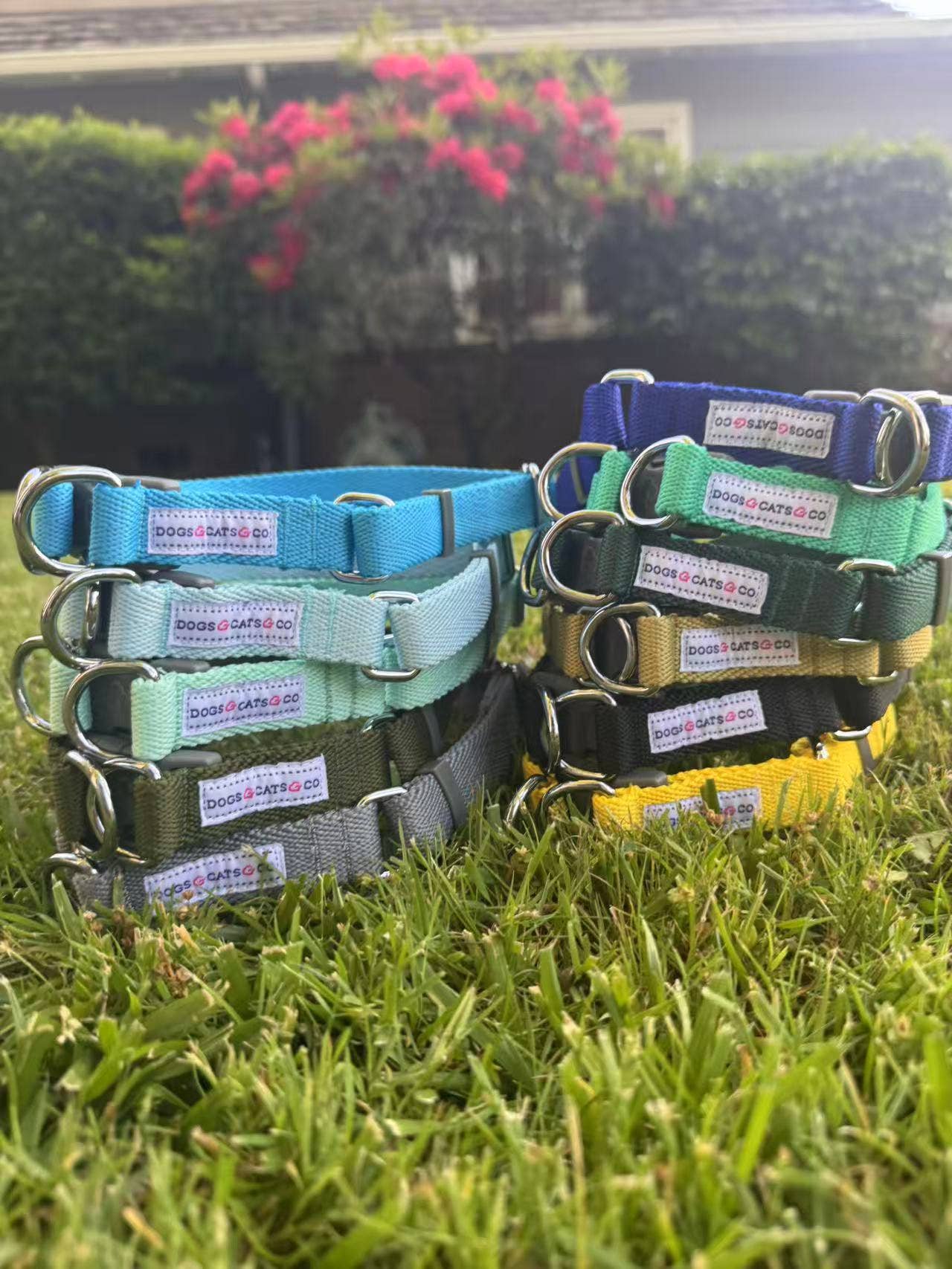 ✨ Dogs & Cats & Co. Double D-Ring Dog Collar 🐾