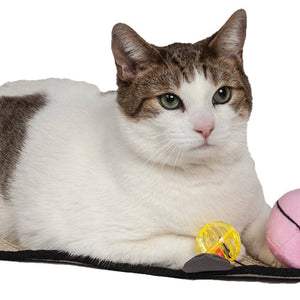 Eco-Natural Sisal Scratcher & Toy