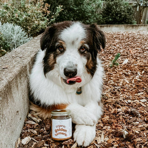 Organic Golden Turmeric Supplement