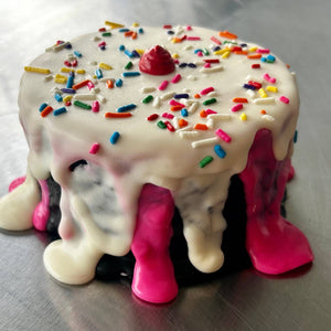 Neapolitan “ICE CREAM” Dog Cake Treat
