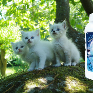 ALZOO™ Mineral-Base Cat Litter Deodorizer-Fresh Ocean Breeze