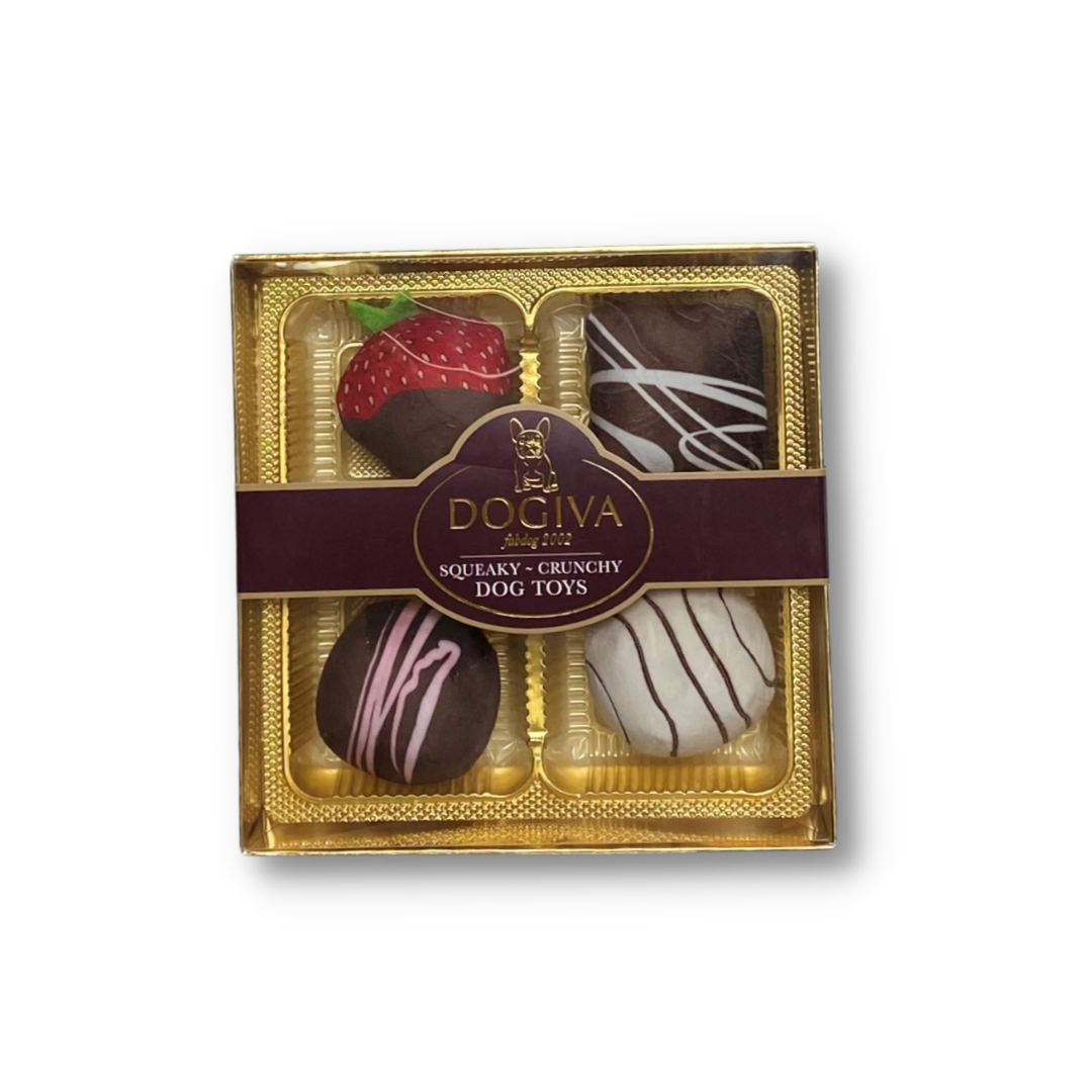 🍫🐾 Dogiva Box of Chocolates