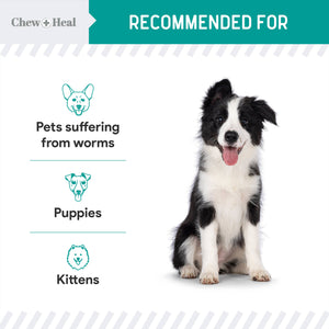 Dewormer for Puppies & Kittens