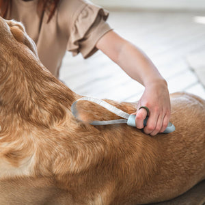 Ocean Plastic Pet Deshedding Grooming Tool