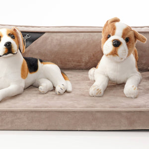 Modern Sofa Dog Bed