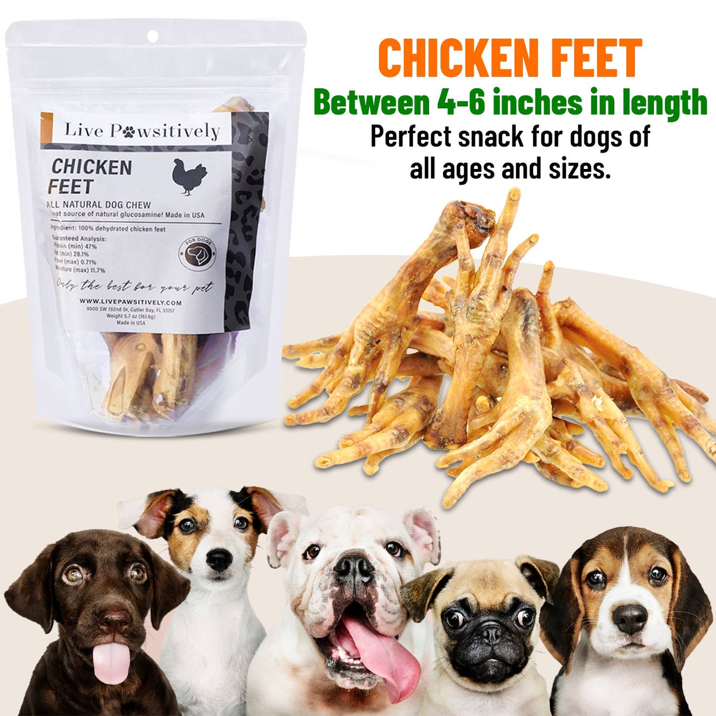 🐔🐾 Live Pawsitively Chicken Feet – Natural Single-Ingredient Dog Chews (10-pk)