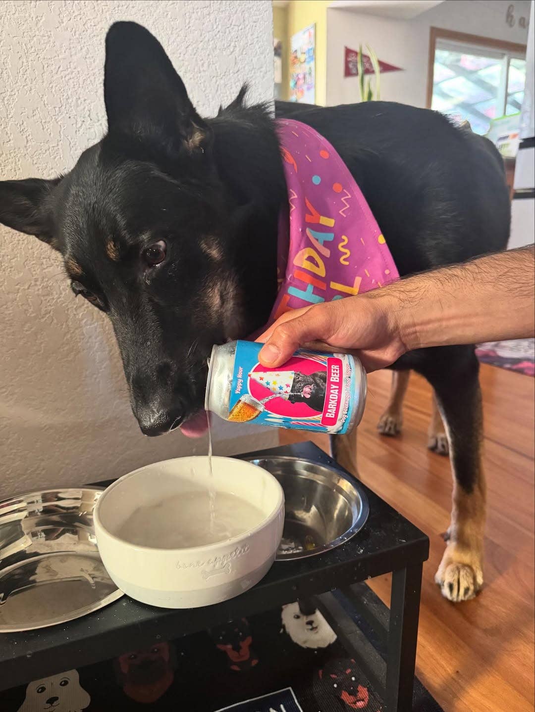 🍉🐶Barkday Beer | Watermelon