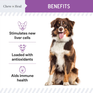 Milk Thistle Tincture for Dogs for Liver & Kidney Health