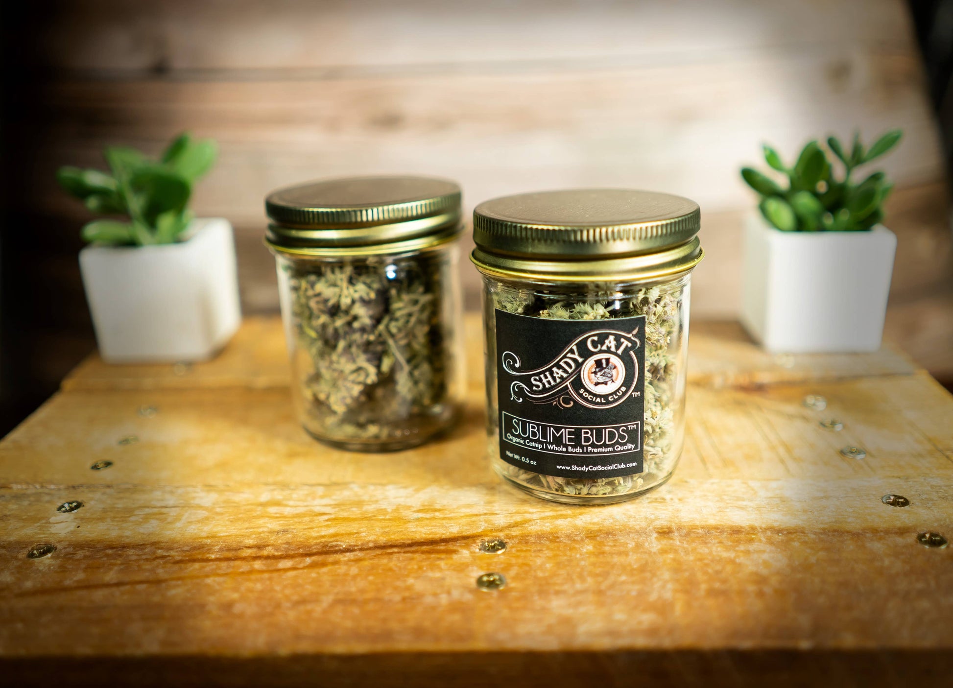 Christmas Gift for Pet | SUBLIME BUDS | Whole Catnip Flowers