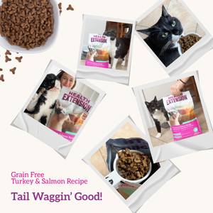 Grain Free Turkey & Salmon