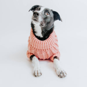 Dog Cable Knit Sweater - Pink