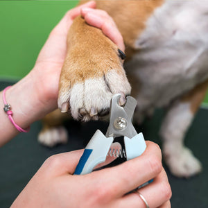 Ocean Plastic by PT Eco-Friendly Pet Nail Clipper for Pets