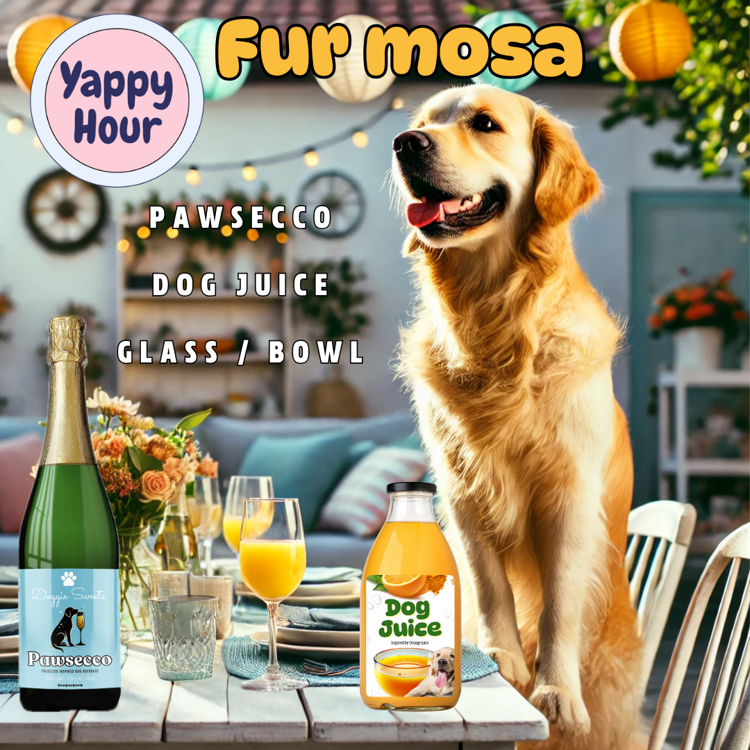 🍾🍊🐶 Yappy Hour™ Fur Mosa Mimosa Kit for Dogs 🥂🐾