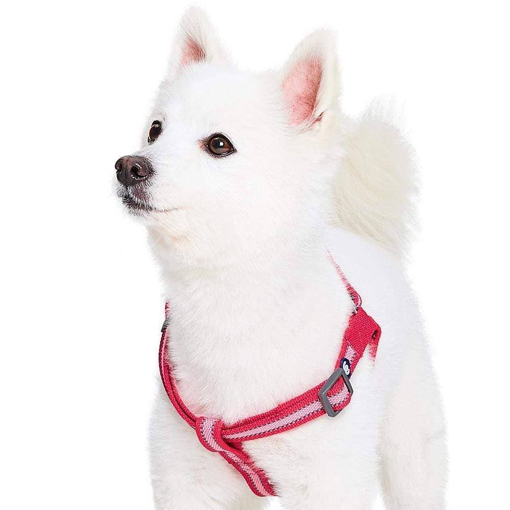 🌙🐾Better Basics Reflective Dog Harness