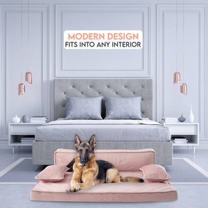 Modern Sofa Dog Bed