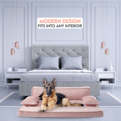 Modern Sofa Dog Bed