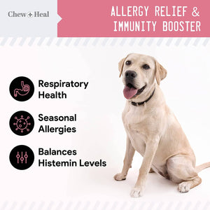 Allergy Chews with Antioxidants