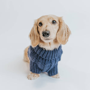 Dog Cable Knit Sweater - Navy