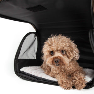 Airline Approved Folding Zippered Casual Pet Carrier