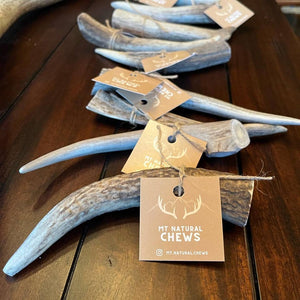Elk Antler Chew-Various Sizes