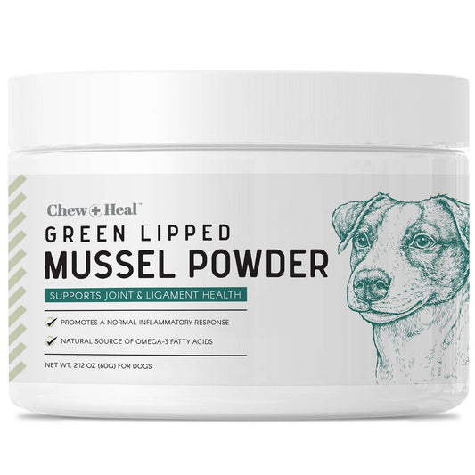 🦪🐾 Green-Lipped Mussel (GLM) Powder for Dogs – Joint Support Superfood