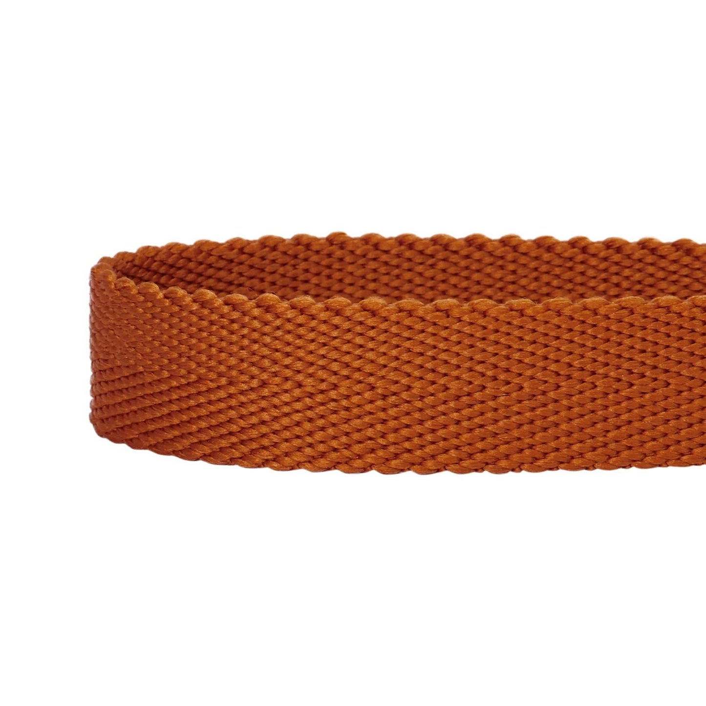 ✨ Dogs & Cats & Co. Double D-Ring Dog Collar 🐾