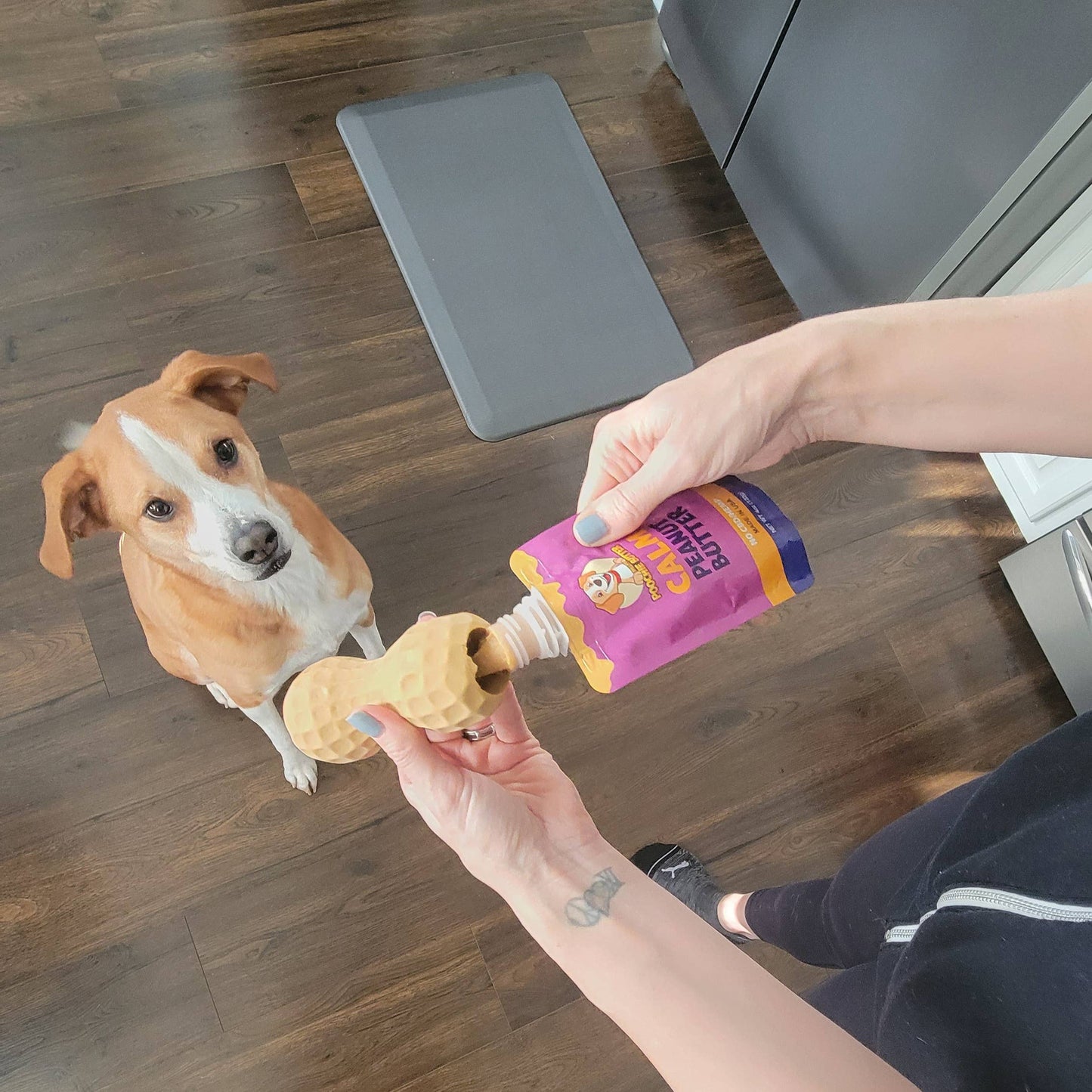 Calming Dog Peanut Butter (No CBD)