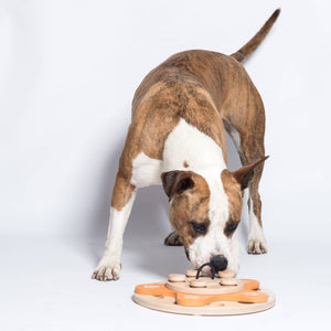 🌼 Dog’s Flower Puzzle Toy – Adjustable Level 1–4 Enrichment Game for Curious Dogs