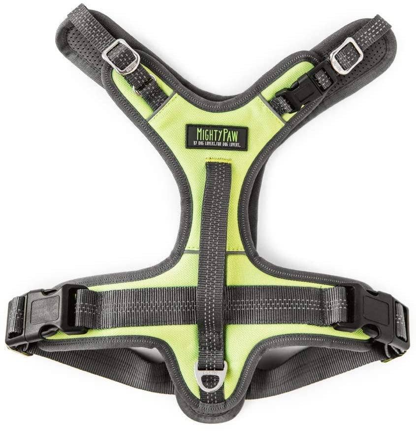 Mighty Paw Padded Adjustable Dog Harness 🐶🐾