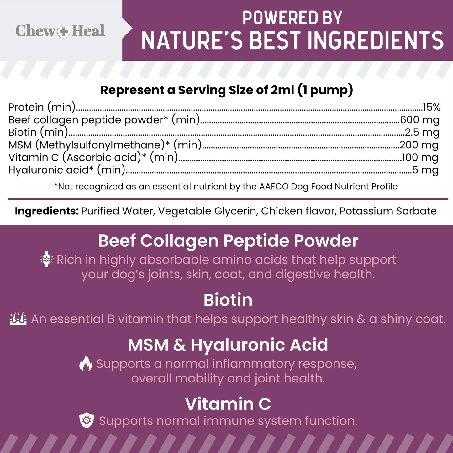 Advanced Collagen Complex Supplement with Pump for Dogs 4oz