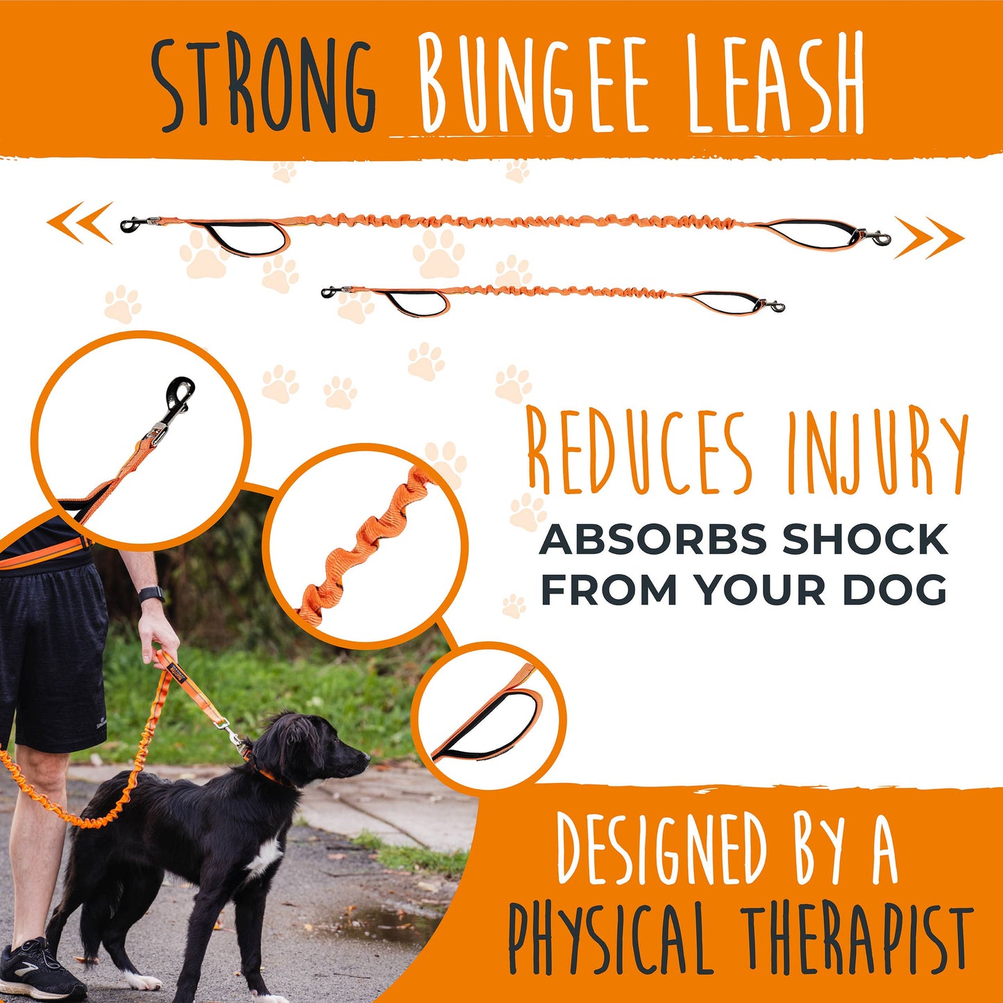 🏃♂️ Mighty Paw Hands-Free Bungee Leash Set 2.0