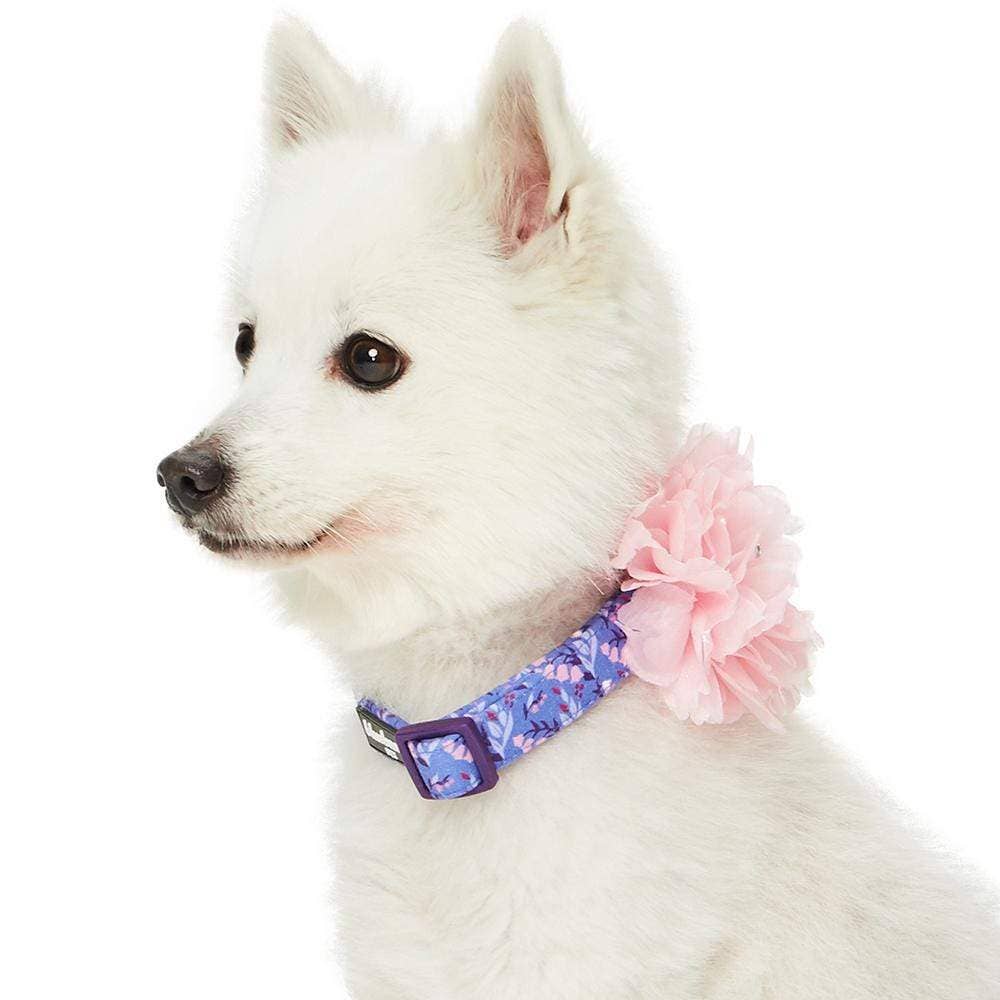 🌸 Floral Dog Collar with Pink Peony – Elegant, Feminine & Fashion-Forward 🐾