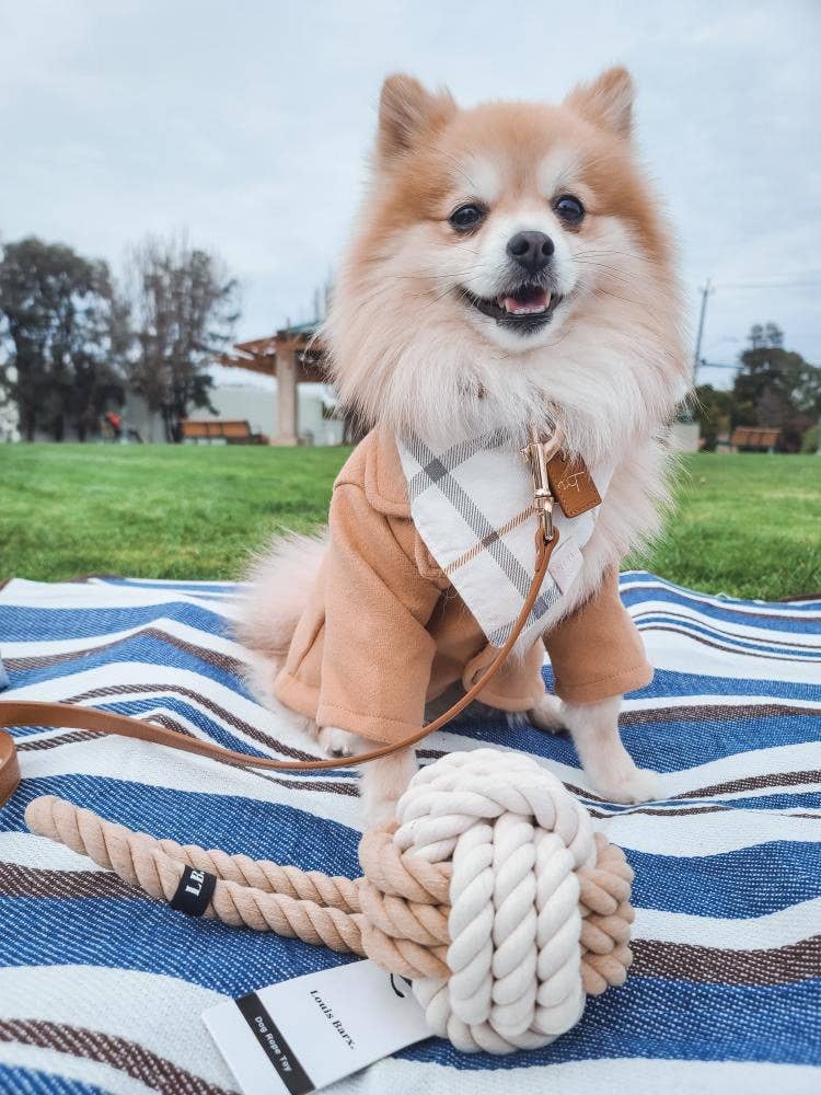 🌿🐾 Eco friendly Dog Rope Toy